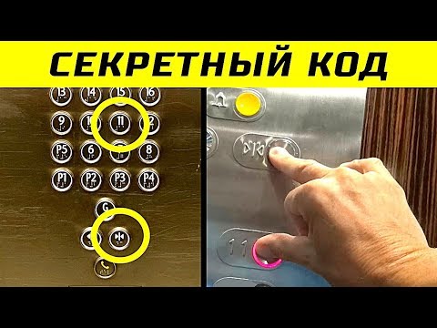 Video: Аш (20 сүрөт): дарактар менен жалбырактар кандай көрүнөт? Ак күлдүн жана башка түрлөрдүн, алардын уруктарынын сүрөттөлүшү. Аш эмерек панелдери жана лифт стилиндеги эшиктер. Бул эмн