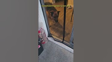 LYGFZF magnetic screen door, high-density mesh, windproof buckle design #creativeblinds #cat #pets