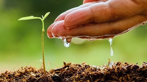 Smart Precision based Agriculture using Sensors Soil Moisture, Temperature & Humidity Using Zigbee