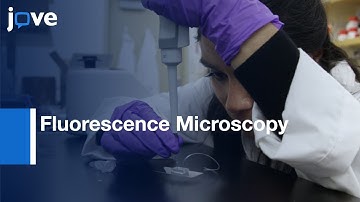Characterizing Single-Molecule Conformational Changes Under Shear Flow l Protocol Preview
