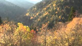 Morton Overlook Tennessee Mapcarta