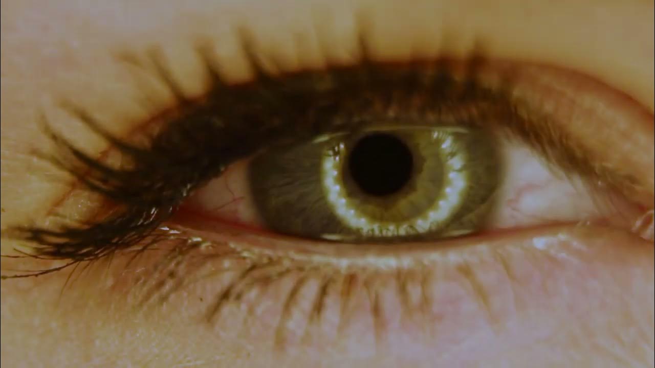 Cartoon Wink Sound Effect YouTube