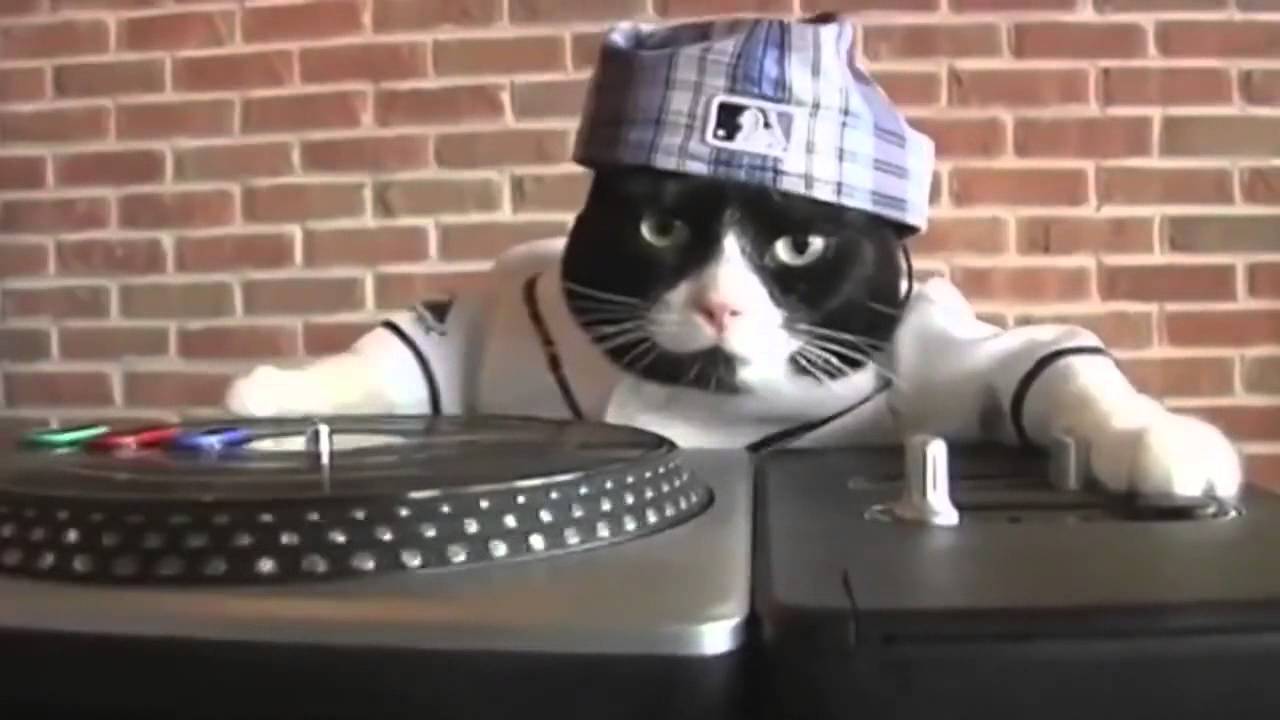 DJ Kitty - YouTube