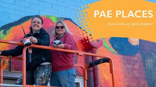 What is Placemaking? Full version with interviews
