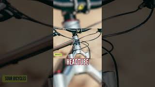 A Bike Brand Like No Other! 😅🚲