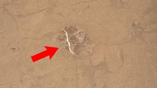 Som Et - 59 - Mars - Curiosity Sol 4563