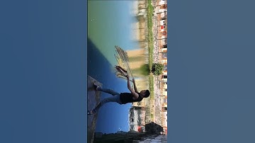 Unbelievable Cast Net Fishing   Fisherman vs River Catch Netting 1