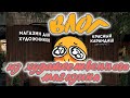 ВЛОГ: художественный магазин Красный карандаш! | ОЧЕНЬ МНОГО АРТ МАТЕРИАЛОВ