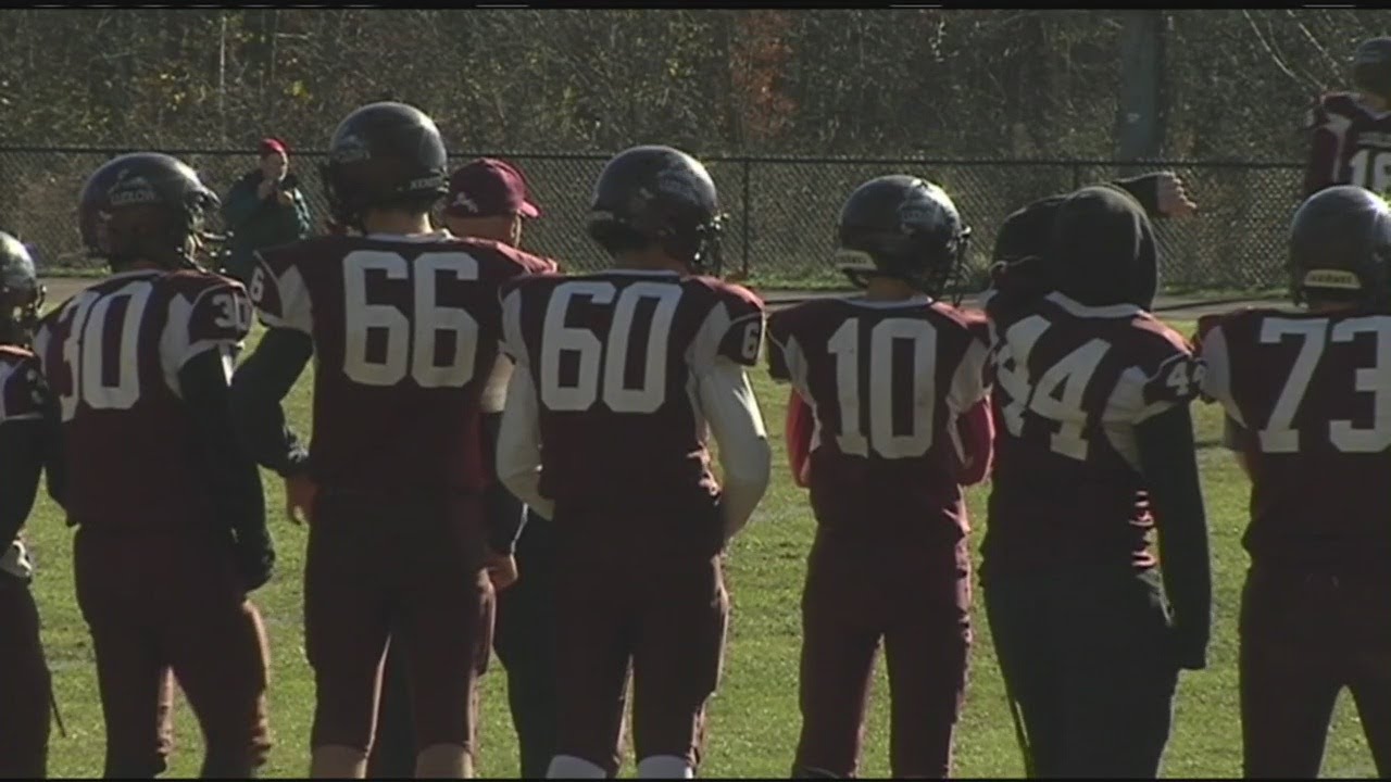 Ludlow Lions took on the Palmer Panthers on their home field YouTube