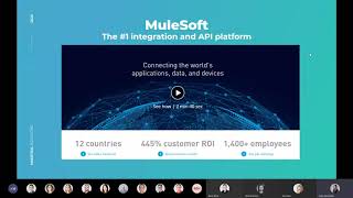 Review of the MuleSoft's API Management Solution