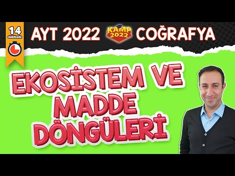 Ekosistem ve Madde Döngüleri | AYT Coğrafya #Kamp2022