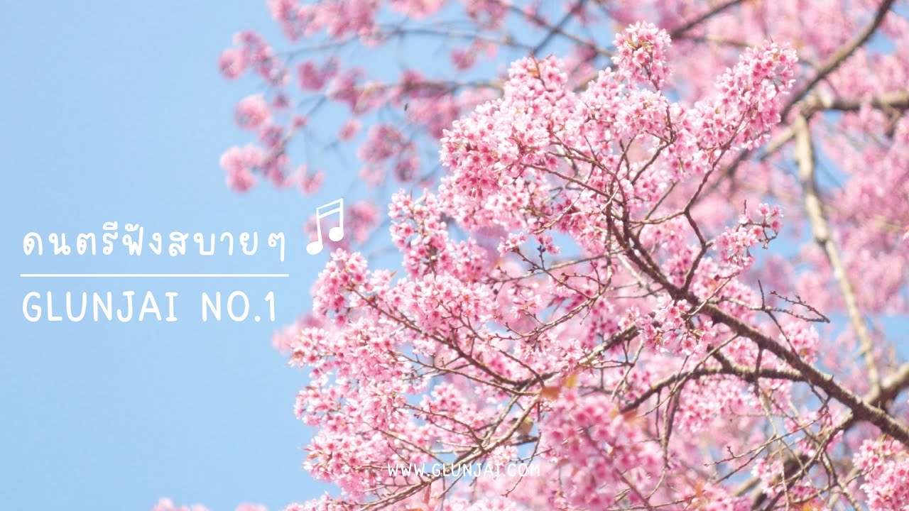 ดนตรีบรรเลงเปียโนสบายๆ l กลั่นใจ No.1  ดนตรีเผื่อปรับกายปรับใจ ผ่อนคลาย สบายๆ l Meditation music