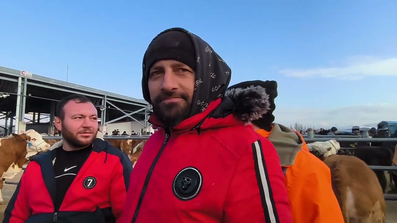 ÇORUM HAYVAN PAZARI BÜYÜKBAŞ 2 MART ÇEKİMİ 4.BÖLÜM 5 MART 2026