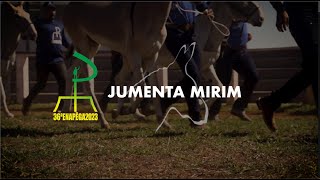 JUMENTA MIRIM - 36ª ENAPEGA