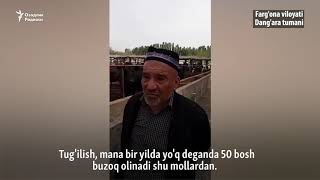 30 одамга иш берган чорвадор фермерни ҳокимият синдирди