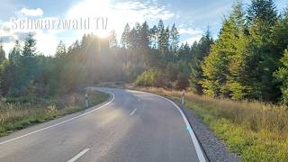 🚨🚔 Witness Appeal: Motorcyclist Foxy dies following serious traffic accident on L170 near Grafenh...