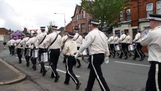 Gertrude Star - East Belfast PB - UVF Regimental 12th morning Belfast