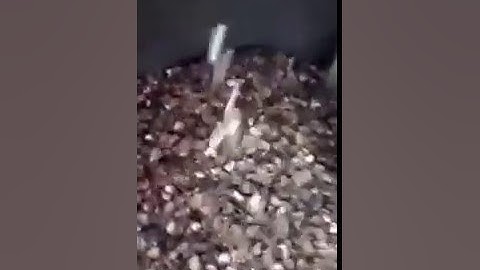 cashew nuts shell & kernel separation machine