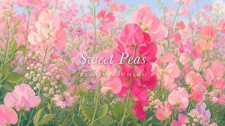 Pink Sweet Peas in Morning Light 🌷 soft waltz piano · calm piano music for sleep & slow evenings screenshot 4