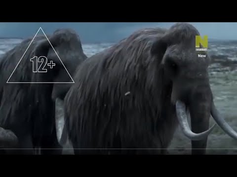Video: Керемет бала мамонты