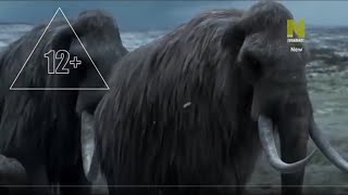 Клонирование мамонта  |  Документальный фильм