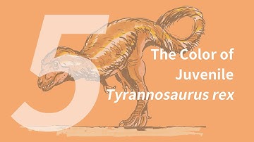 Aaron the Juvenile Tyrannosaurus rex 5: Color | Learn to Draw Dinosaurs with ZHAO