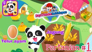 Baby bus🐼 gameplay  | kota bayi panda #1: pertanian jagung🌽 dan telur ayam🥚 screenshot 5