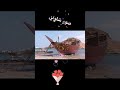 صور شلوني صور شلوني