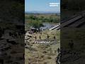 War Veterans Silence, Self & Safety || #shorts #podcastclips #warveterans #silence #safety