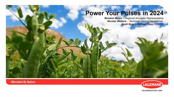 Inoculant Innovation to Power Your Pulses in 2024