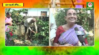 Maa inti Thota | Fruits and vegetables | Dashrath Rao | Warangal | Ekashila Nagar | Rythu Nestham Tv