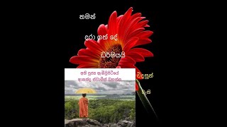 2017 01 19 SINHALABUDUBANA.Feel and Be the Space of Being