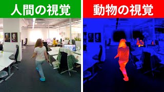 有名キャラクターの目を通してみた世界|３６０度動画