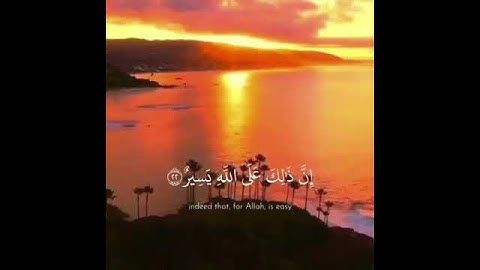 الشيخ سعد الغامدي / سورة الحديد