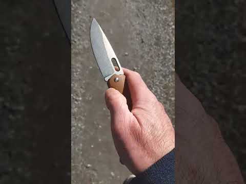 Walk n' Flick: BRS Navajo