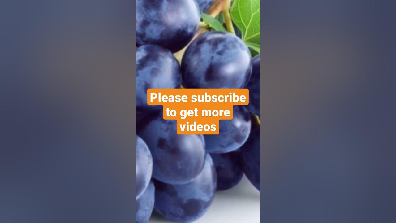 history of grapes YouTube