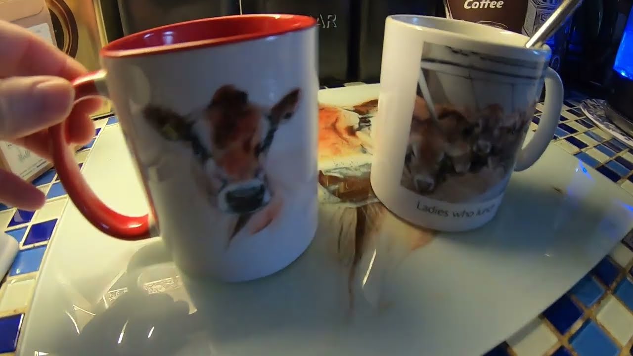 Morning on the Organic Dairy Farm: ASMR Cow Experience