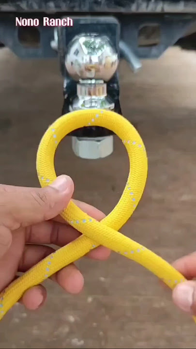 Nudo de Caballo o As de Guía 😉💯 #knot