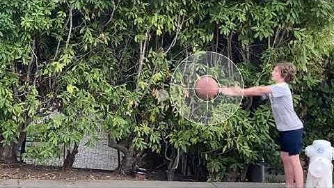 Vernier Video Physics App Review