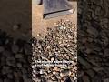 How to Quickly Remove Roof Gravel | Ballast Vacuum in Act