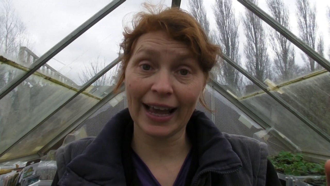 Mid March Update - Part 535 - Claire's Allotment