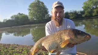 Big River Carp 🎣🔥 | 