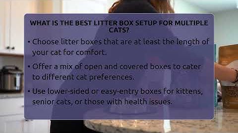 What Is The Best Litter Box Setup For Multiple Cats? - Happy Cat Handbook