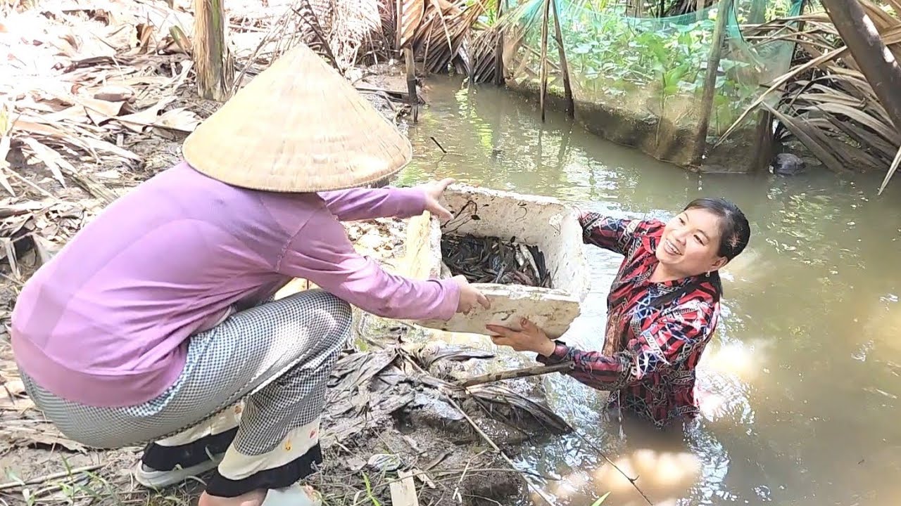 Một Kết Quả Thật Bất Ngờ Khi Hai Mẹ Con Lén Chồng Đi Đổ Lú | TKQ & Family T 2148