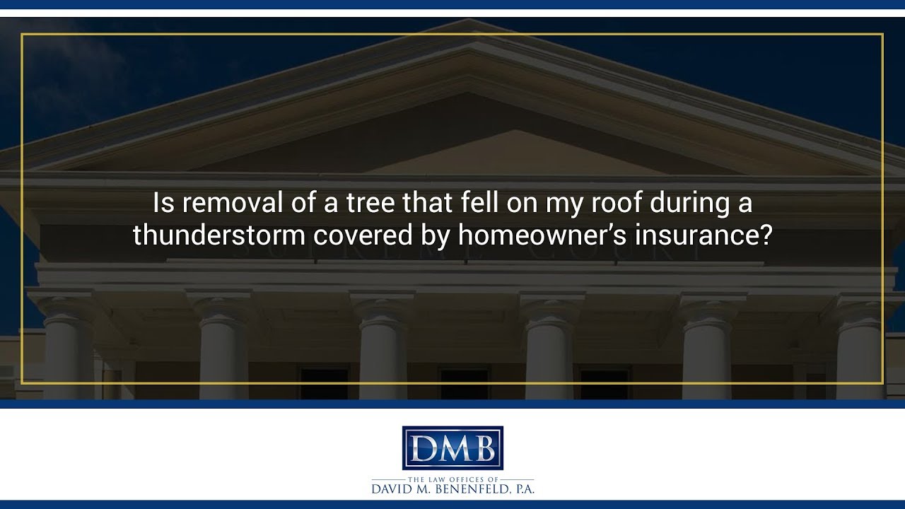 Is removal of a tree that fell on my roof during a thunderstorm covered by...
