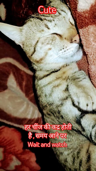 #bollywood #hindisong #jiskeaanesemukammalhogayithizindagisong