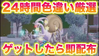 #3 24時間（合計）色違い厳選してゲットしたら即配布して年越しをします!