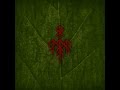 Wardruna  runaljod  yggdrasil full album