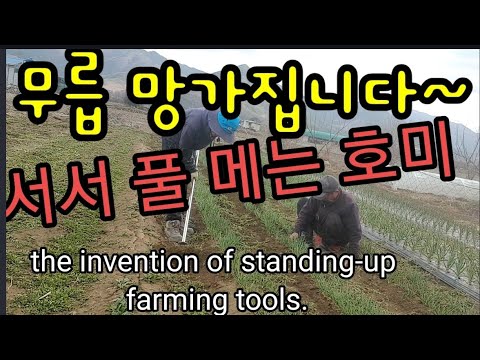 무릎보호! 서서 김메는 호미 보시더! the invention of standing-up farming tools.