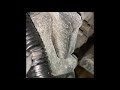 JDM Toyota 2zz Engine Compression Test video